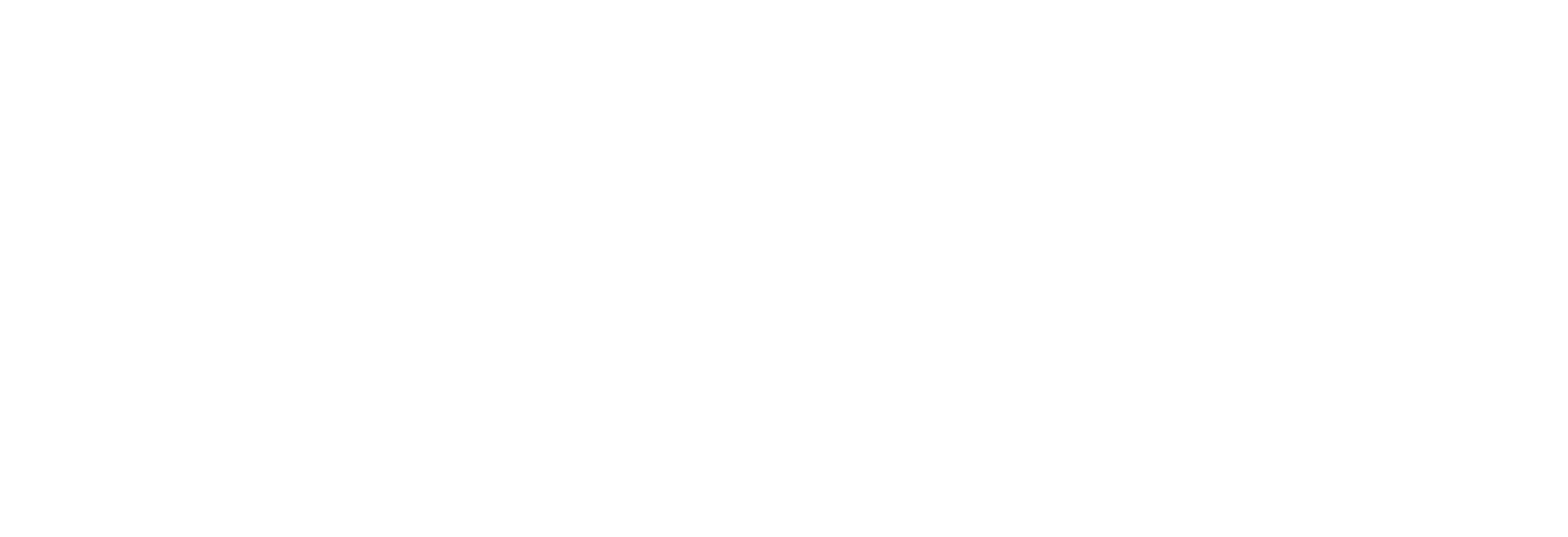 Fenner Drives Logo